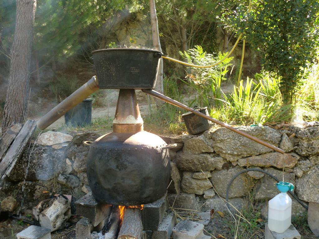 Quinta Do Circo - Serra Da Estrela - Turismo Rural Cortes do Meio Bagian luar foto
