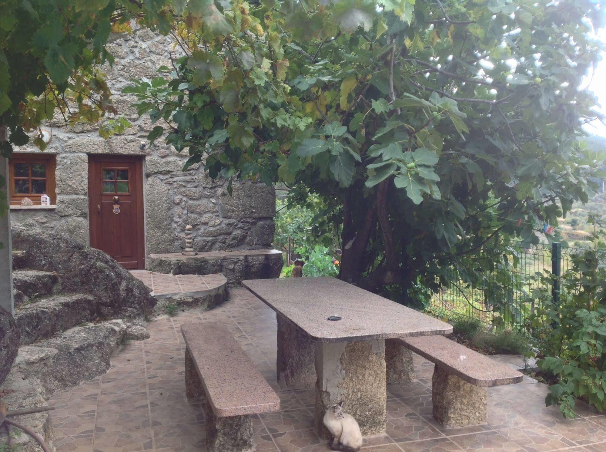Quinta Do Circo - Serra Da Estrela - Turismo Rural Cortes do Meio Bagian luar foto